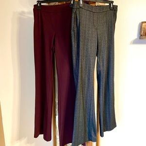New York & Company Dress Pants Medium Tall’s